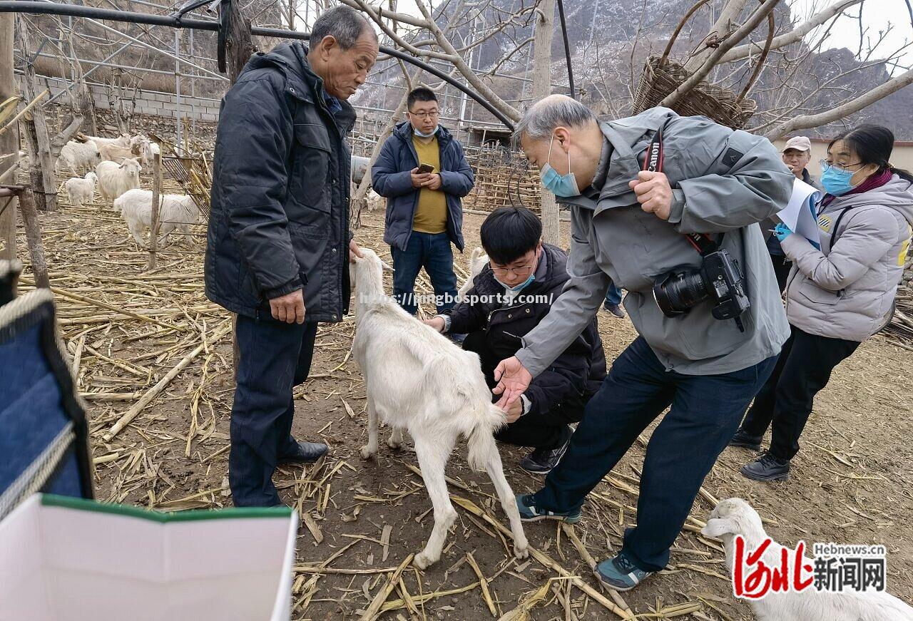 斯特拉斯堡逼平领头羊，赢得尊重